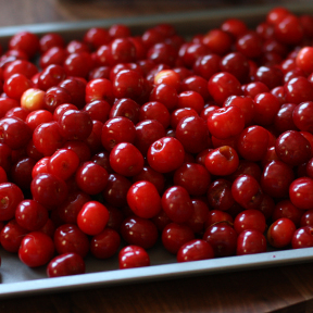 cherry-season tart cherries