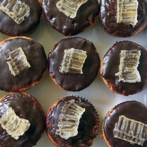 honey cupcakes with honeycomb