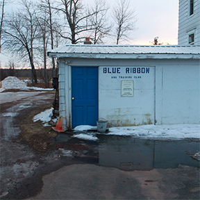 blue ribbon training club